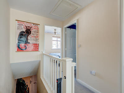 Picture 13